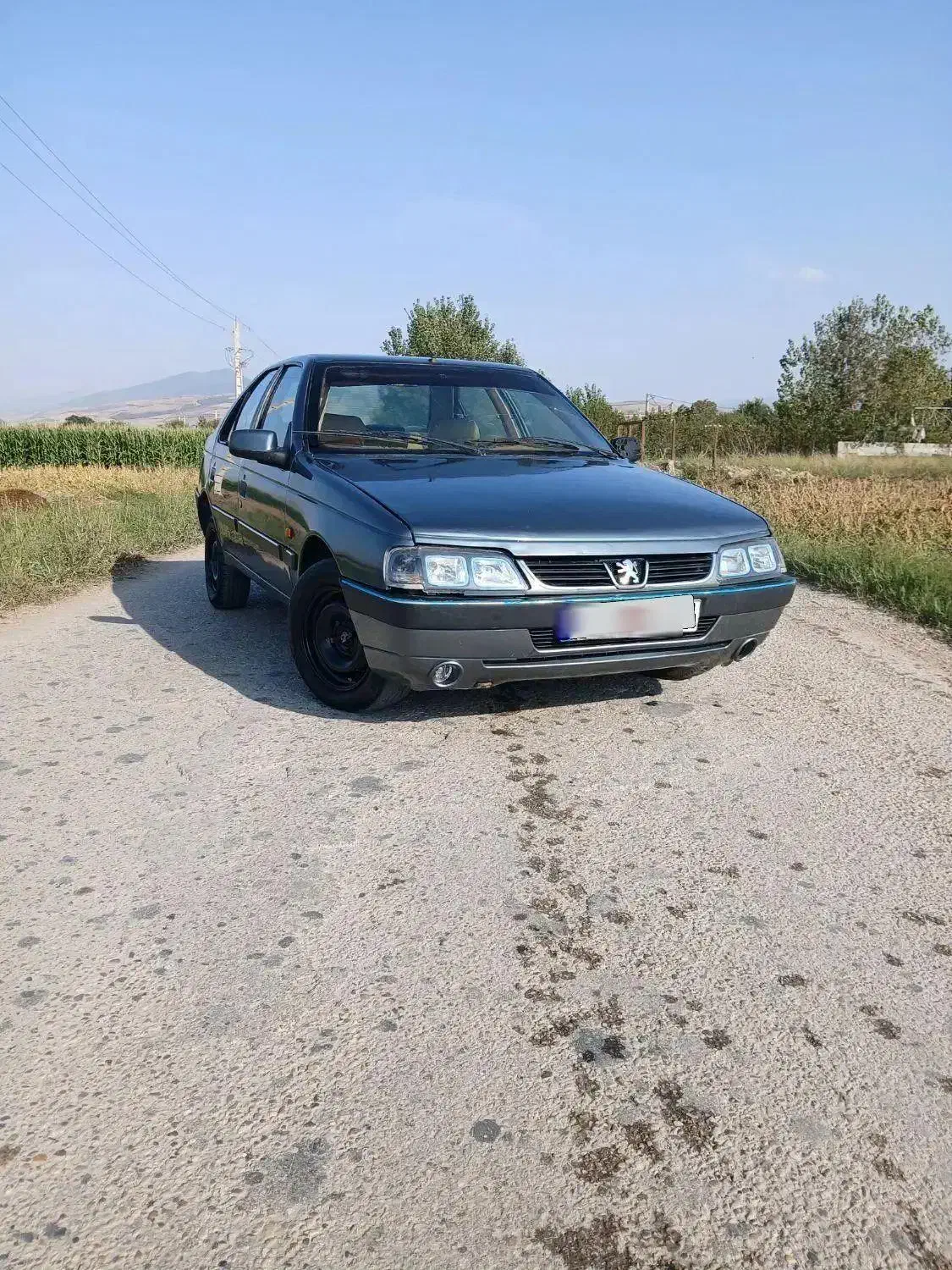 پژو سلکس دلفینی تو کرم|خودرو سواری و وانت|زابل, |دیوار