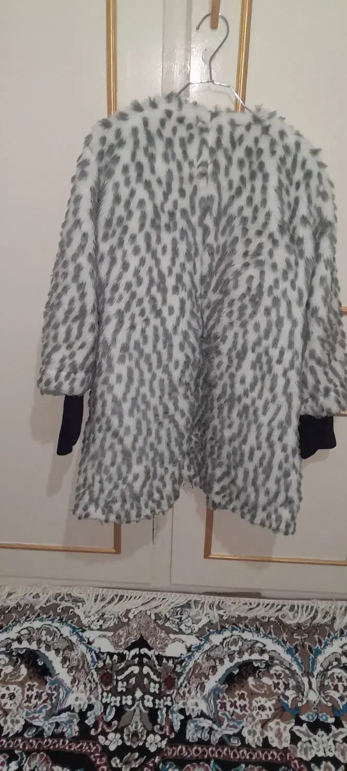 پالتو|لباس|اردبیل, |دیوار