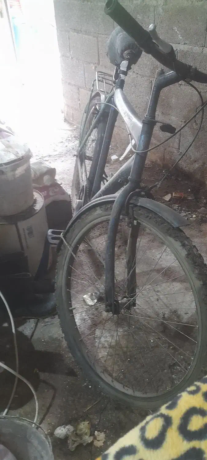 یک عدوچرخه۲۶سالم|دوچرخه، اسکیت، اسکوتر|سیاهکل, |دیوار