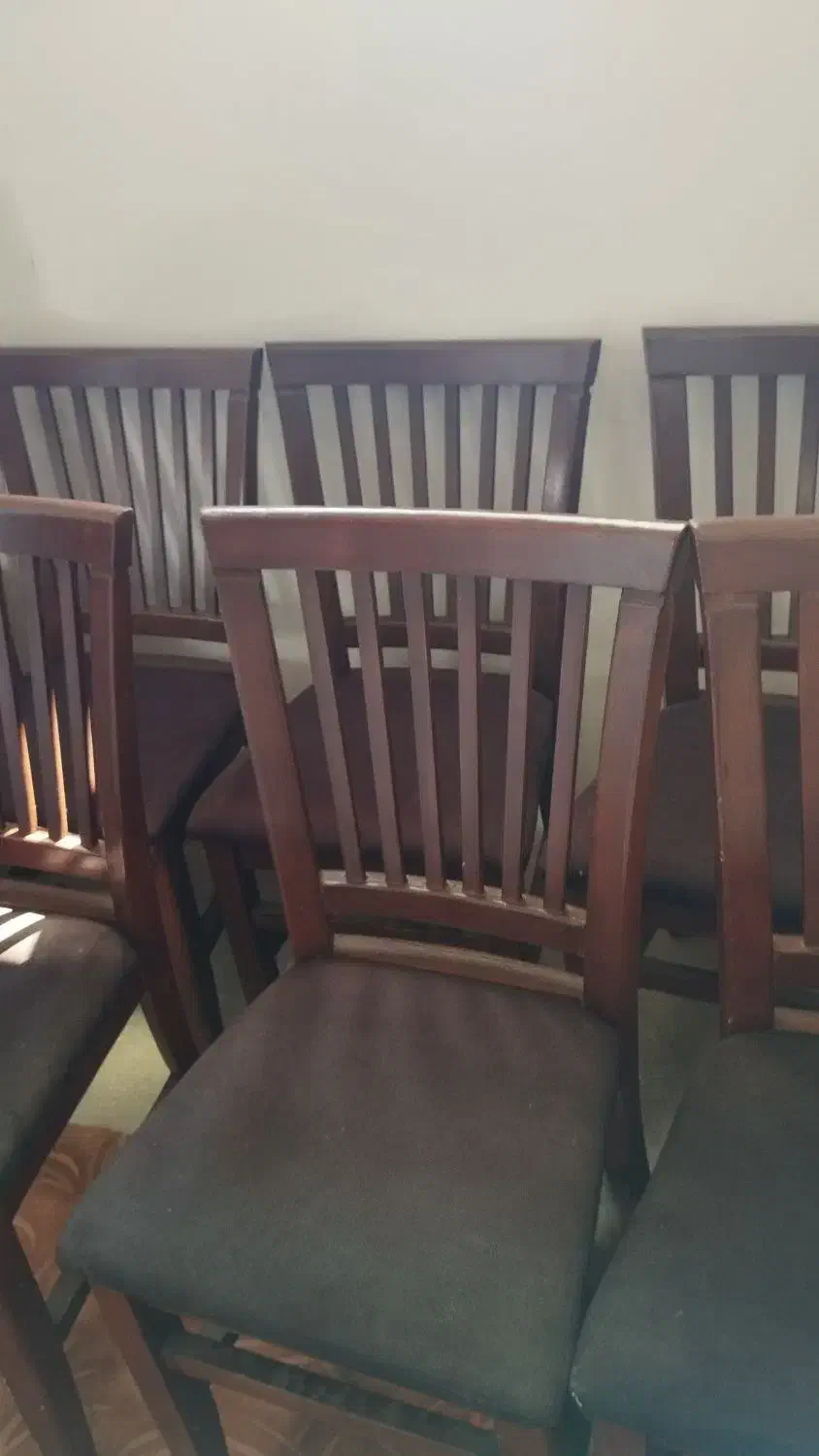 فروش صندلی غذاخوری|میز و صندلی غذاخوری|تالش, هشتپر|دیوار