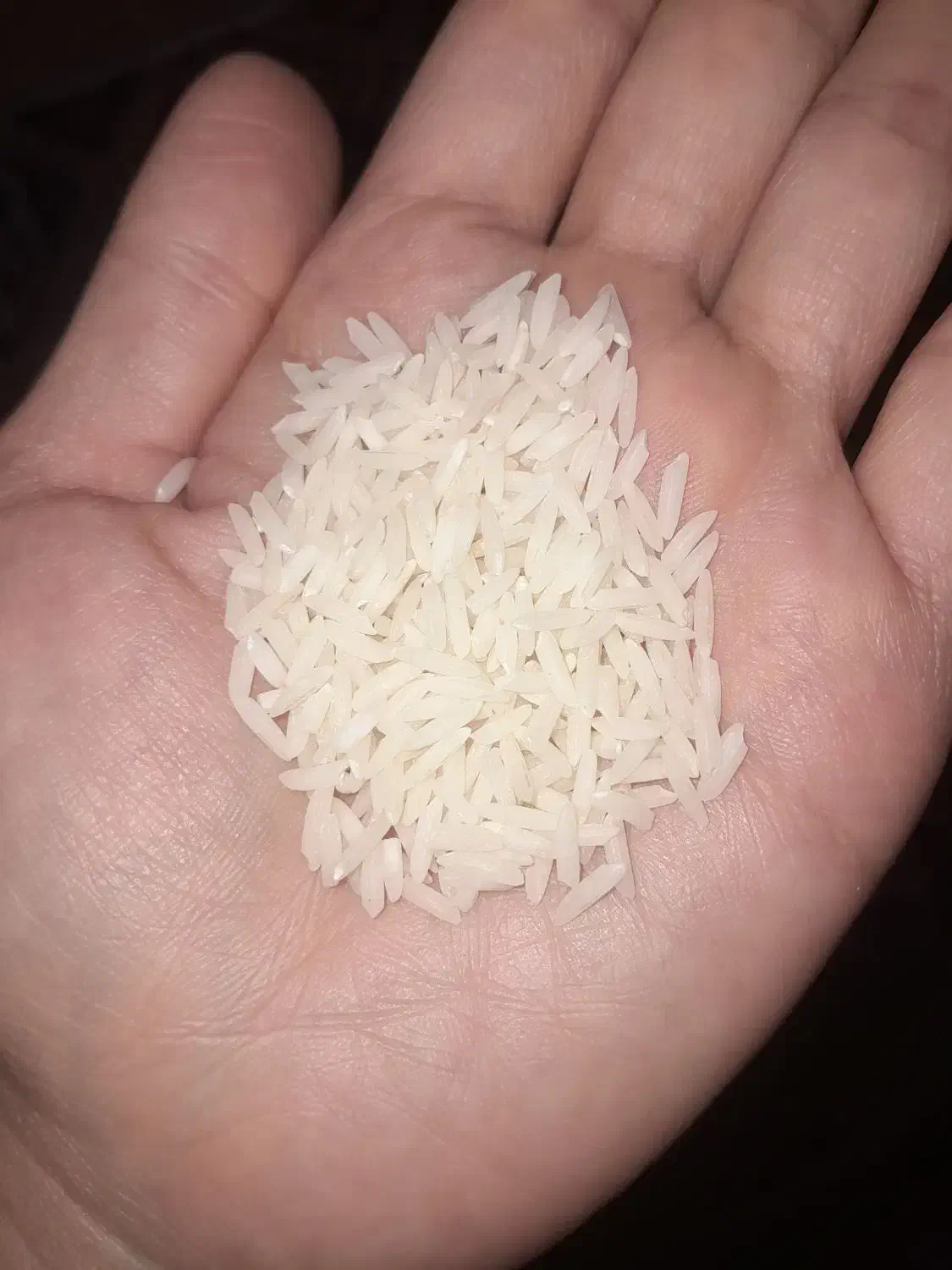 دم سیاه|خوردنی و آشامیدنی|رشت, سلیمانداراب|دیوار