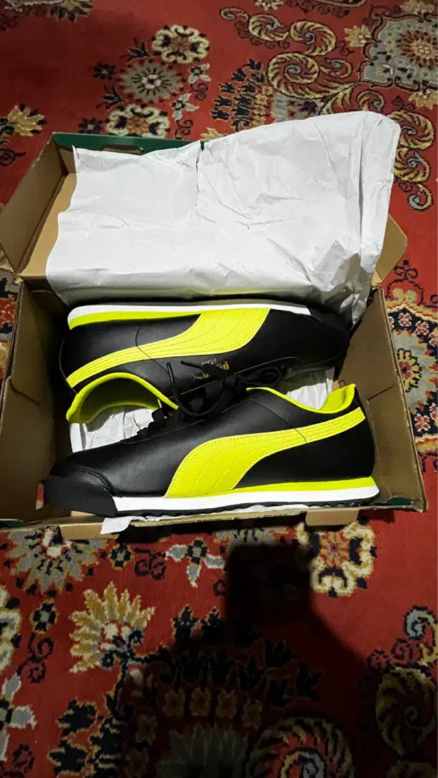 پوما|کیف، کفش، کمربند|رشت, گلباغ نماز|دیوار