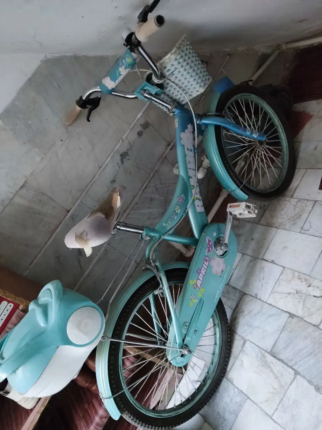 دوچرخه سایز ۲۰ دخترانه|دوچرخه، اسکیت، اسکوتر|اسلامشهر, شهرک لاله|دیوار