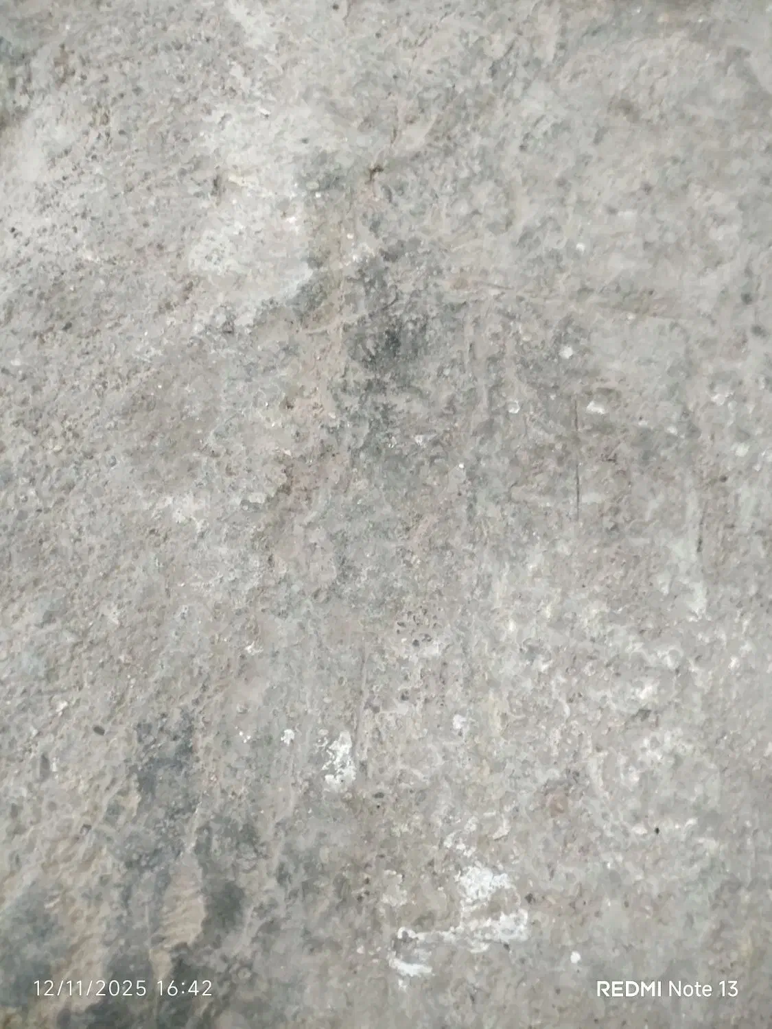 زمین مسکونی 200متر|فروش زمین و ملک کلنگی|مزرعه کتول, |دیوار