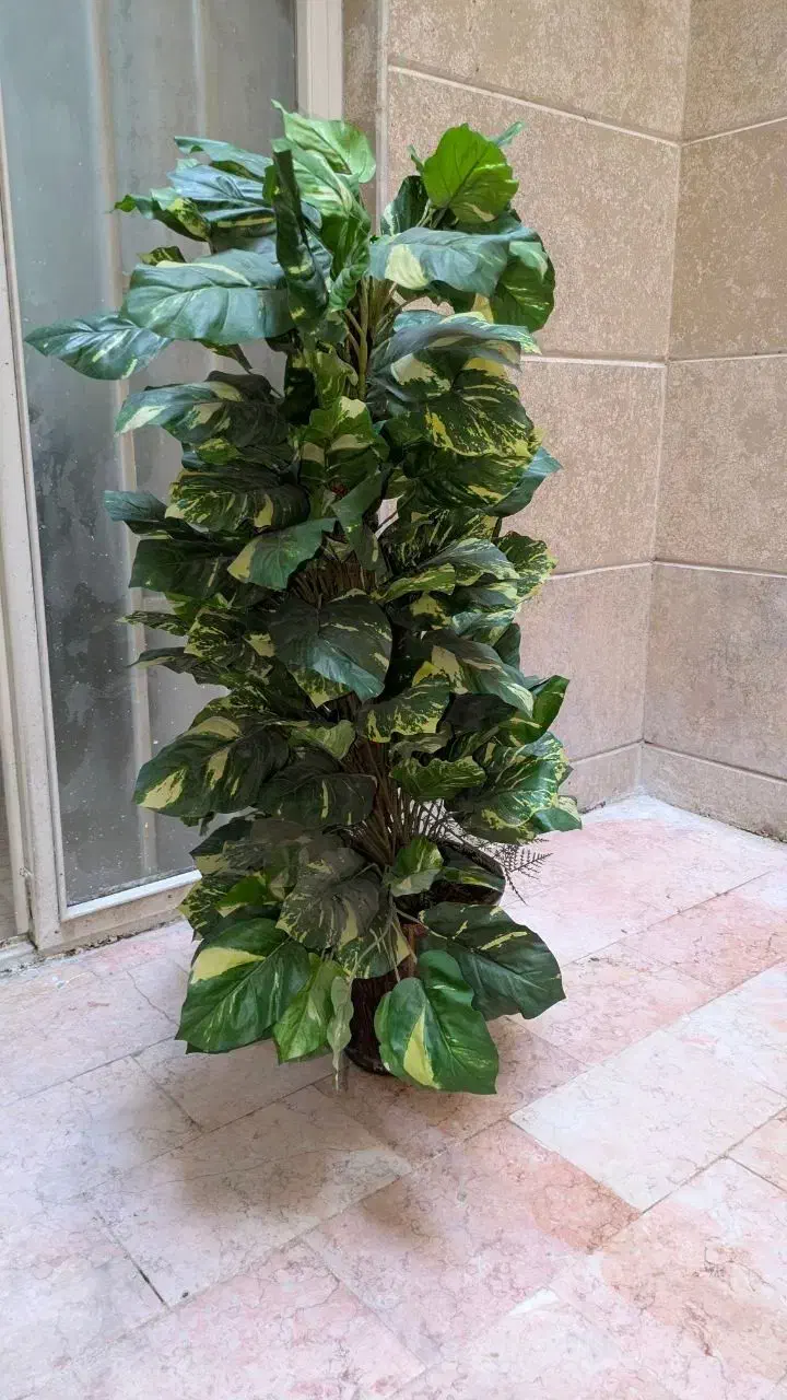 درخت مصنوعی تزیینی|گل مصنوعی|تهران, ستارخان|دیوار