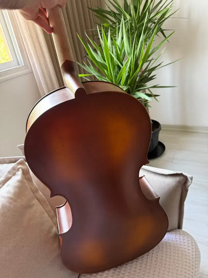 ویولنسل AMATI 1500|ویولن|اصفهان, درب کوشک|دیوار