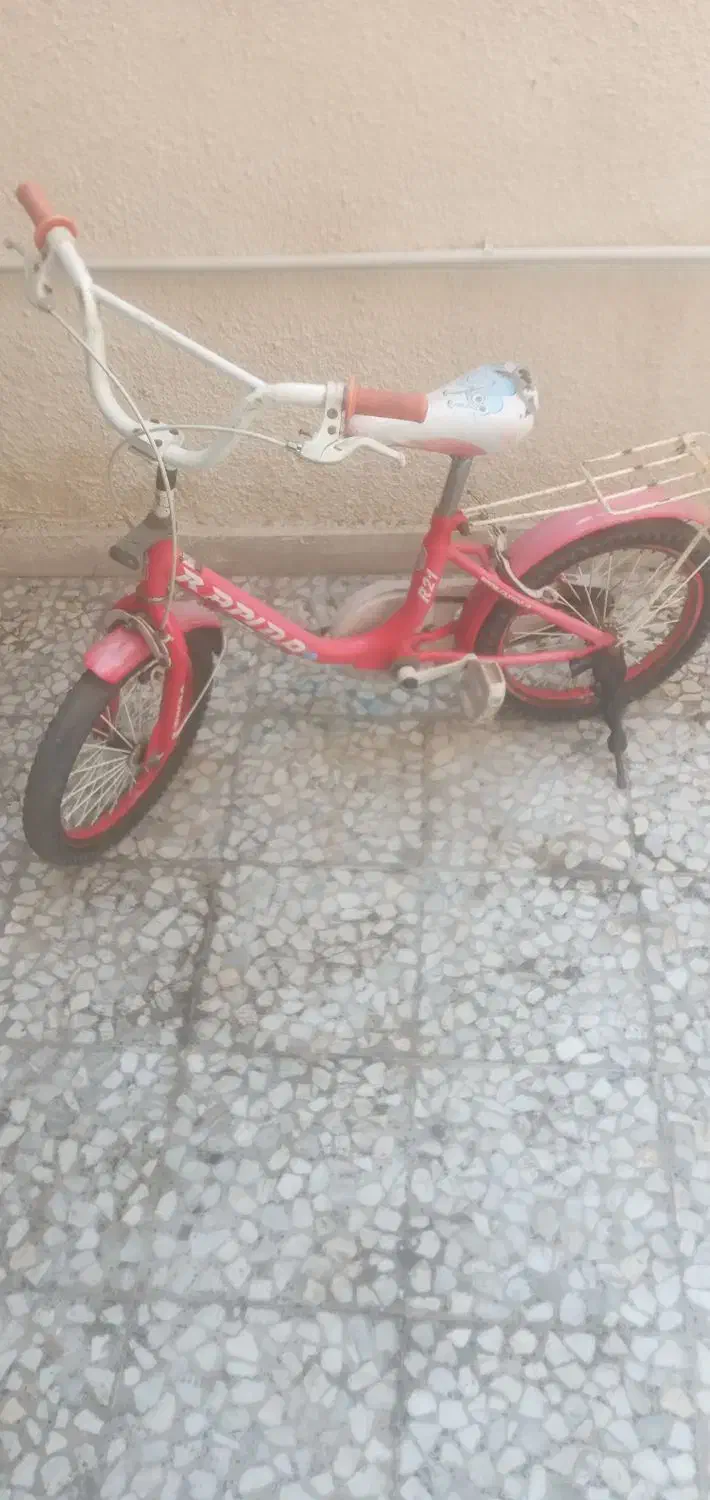 دوچرخه|دوچرخه، اسکیت، اسکوتر|رشت, کوی قدس|دیوار