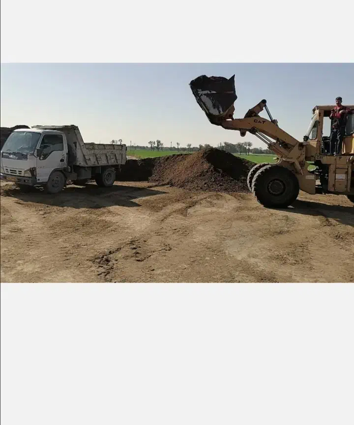 کود پوسیده چند ساله و پلت|خدمات باغبانی و درختکاری|شهریار, رزکان|دیوار