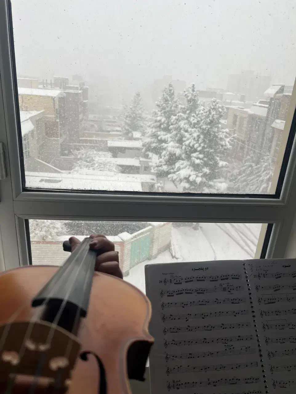 ویالون tf142|ویولن|تاکستان, |دیوار