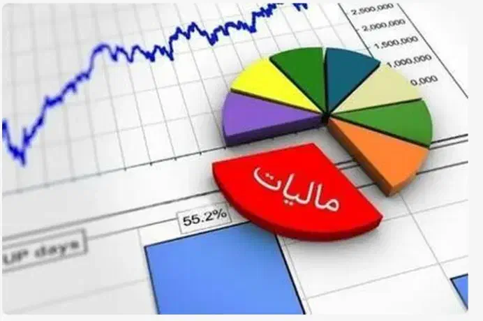 خدمات ارسال و پیگیری اظهارنامه های مالیاتی در محل|خدمات مالی، حسابداری، بیمه|تهران, سازمان برنامه جنوبی|دیوار