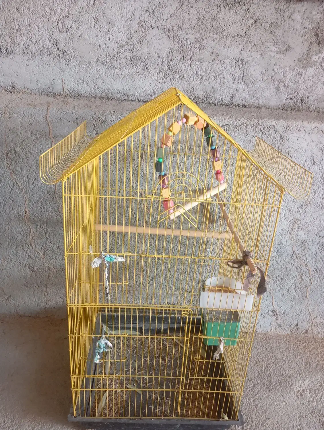 استان بوشهر شهرستان جم شهر ریز|لوازم جانبی حیوانات|ریز, |دیوار