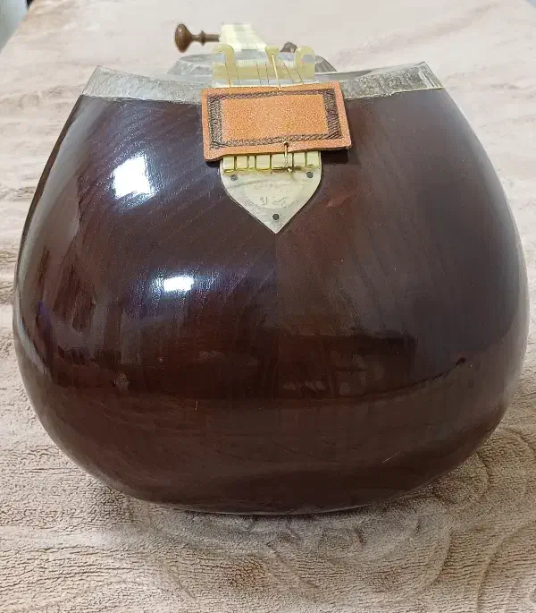 تار استاد سینا قوامی|سازهای سنتی|ری, ولی آباد|دیوار