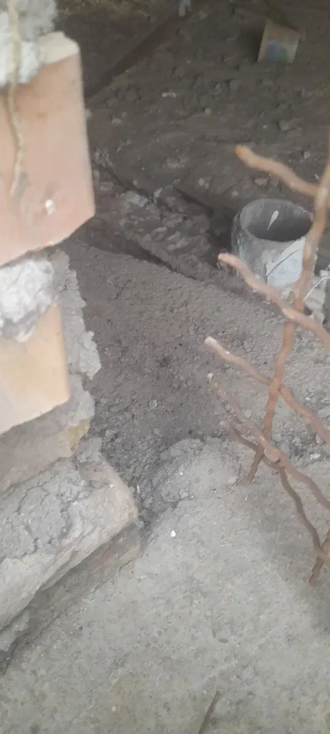 گرگی نر گم کردم|حیوانات|فاضل آباد, |دیوار