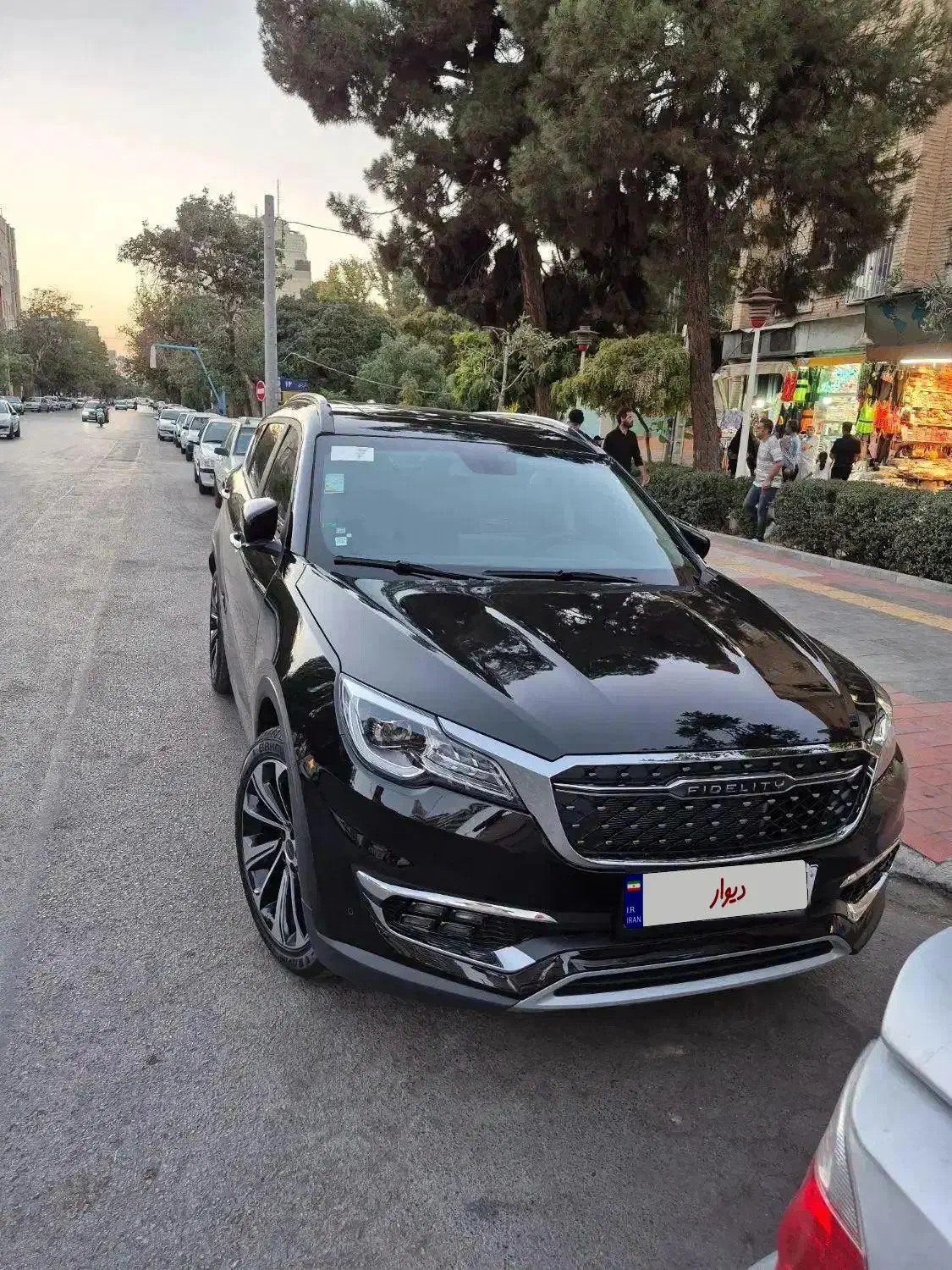 فیدیلیتی۱۴۰۳|خودرو سواری و وانت|مشهد, عنصری|دیوار