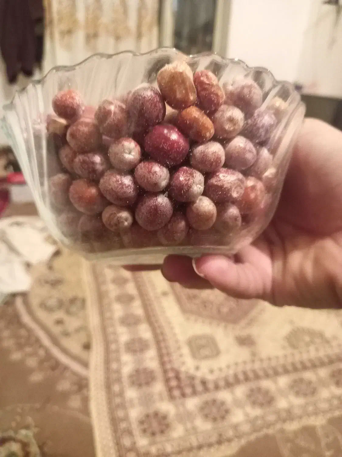 سنجد تازه امسالی|خوردنی و آشامیدنی|بردسیر, |دیوار