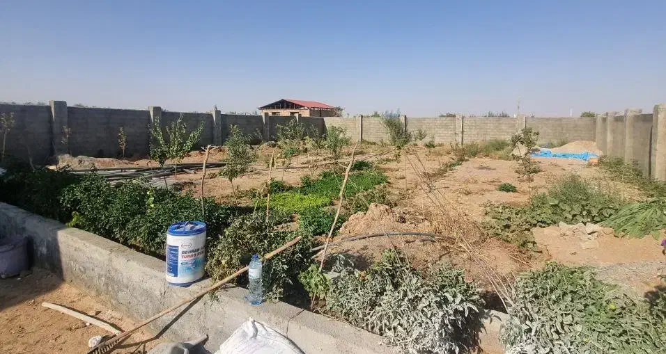 سیمان کاری بنای|خدمات پیشه و مهارت|اراک, |دیوار