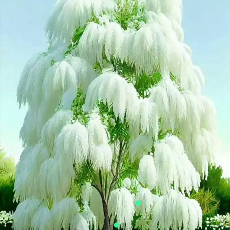 راهنمای مخوام|فعالیت داوطلبانه تحقیقاتی|زنجان, |دیوار