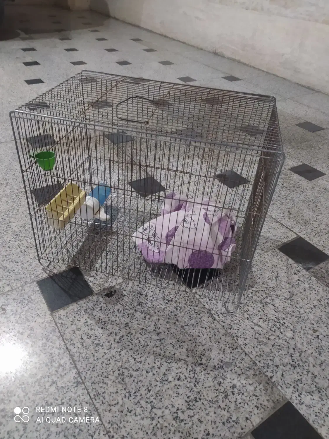 قفسه پرنده|لوازم جانبی حیوانات|مشکین‌دشت, |دیوار