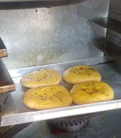 کلوا وبرساق خانگی|خوردنی و آشامیدنی|دورود, |دیوار