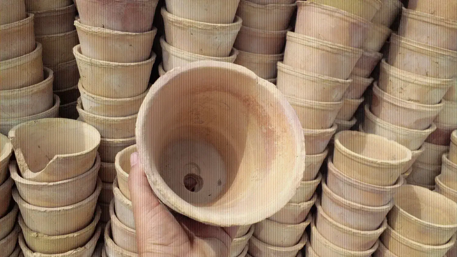 گلدان سفالی گل|صنایع دستی و سایر لوازم تزئینی|مشهد, شهرک ابوذر|دیوار