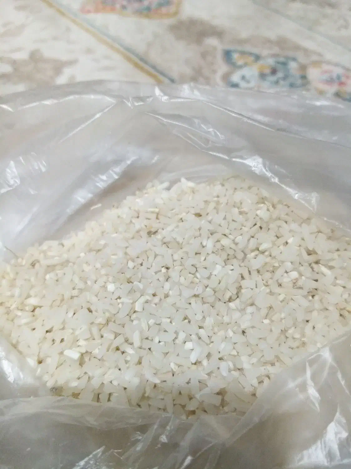لاشه هاشمی درجه 1|خوردنی و آشامیدنی|رشت, یخسازی|دیوار