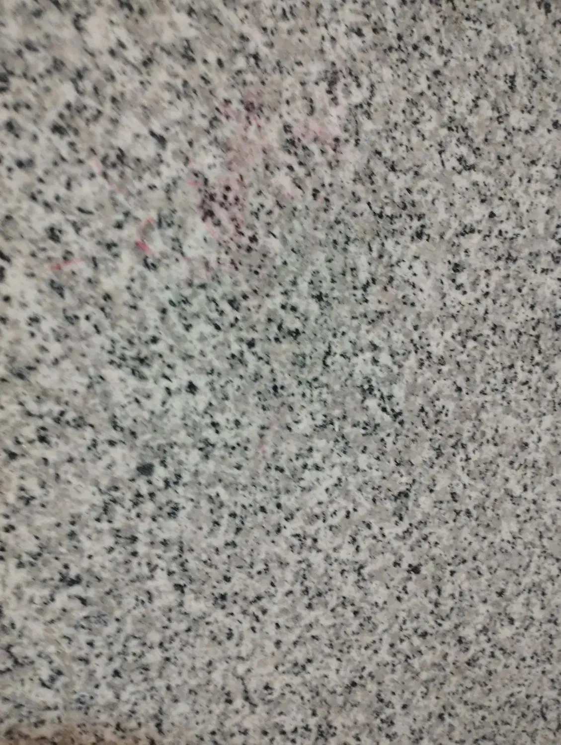 آپارتمان اجاره ای|اجارهٔ آپارتمان|شاهرود, |دیوار