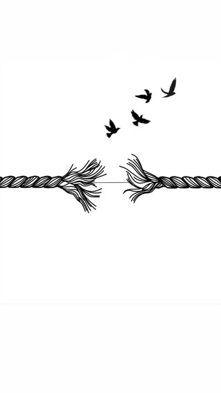 تتو با تخفیف ویژه|خدمات آرایشگری و زیبایی|صائین قلعه, |دیوار