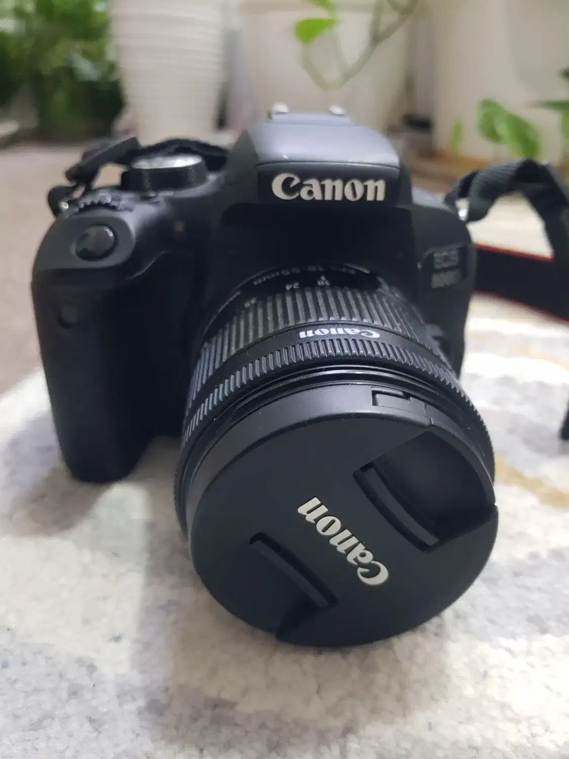 دوربین عکاسی canon 800d|دوربین عکاسی و فیلم‌برداری|اهواز, کوروش|دیوار
