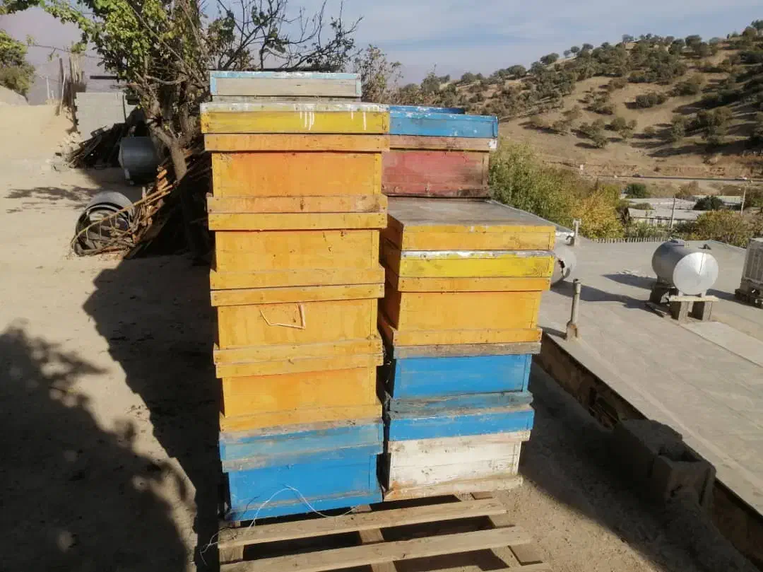 فروش تعدادی کندو زنبور عسل|عمدهفروشی|یاسوج, |دیوار