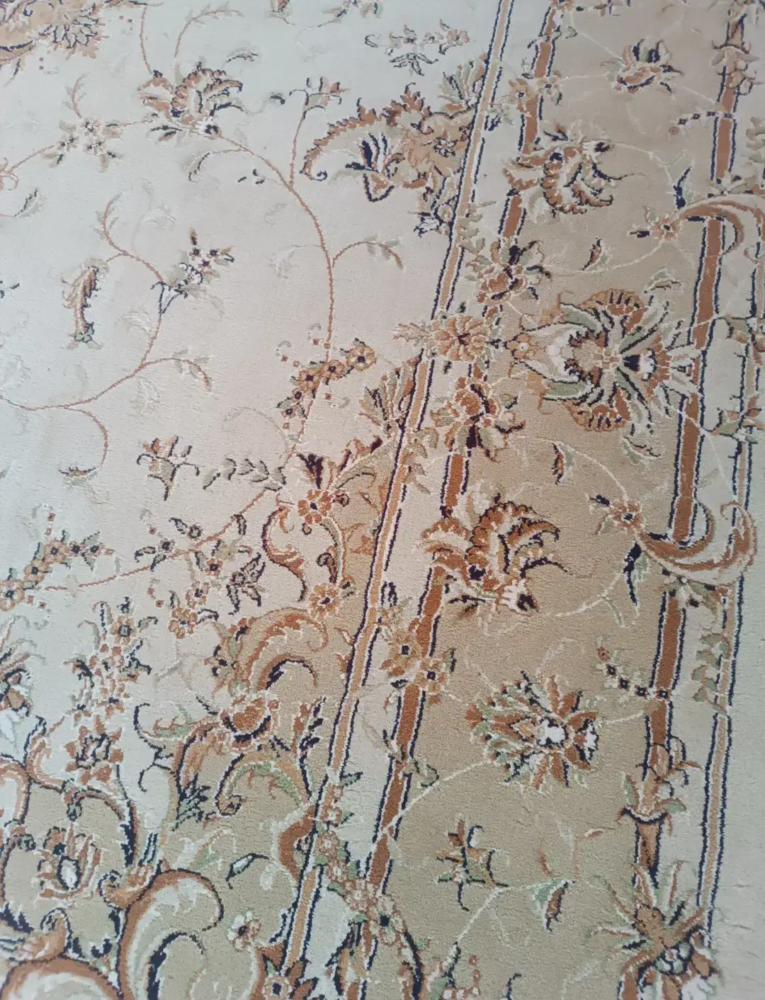 فرش ۶متری|فرش|تاکستان, |دیوار