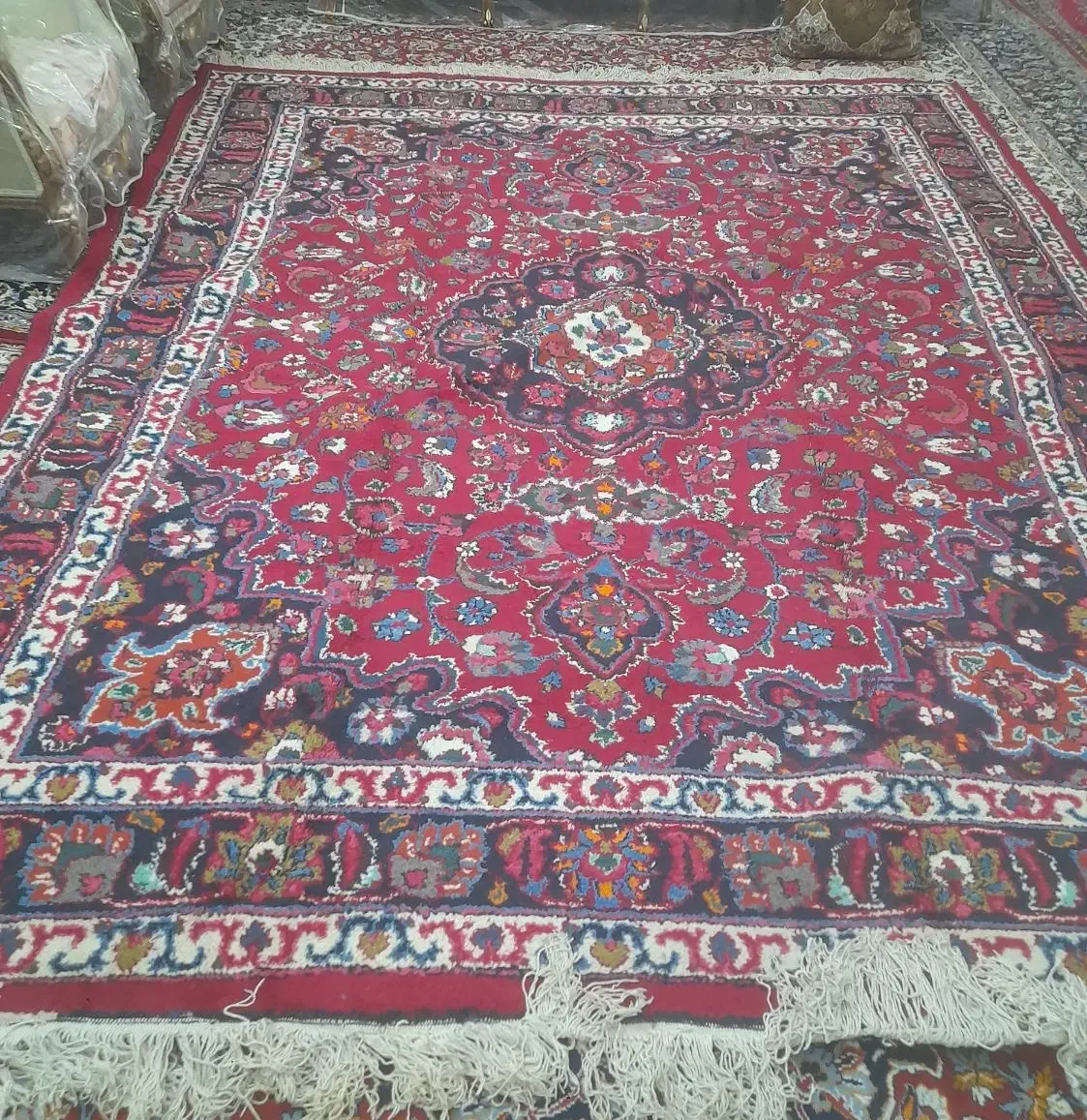 فرش دستبافت کاملا نو طرح خرسک|فرش|مشهد, موسوی قوچانی|دیوار