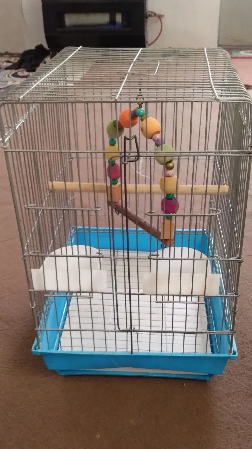قفس طوطی،مینا...|لوازم جانبی حیوانات|چهارباغ, |دیوار