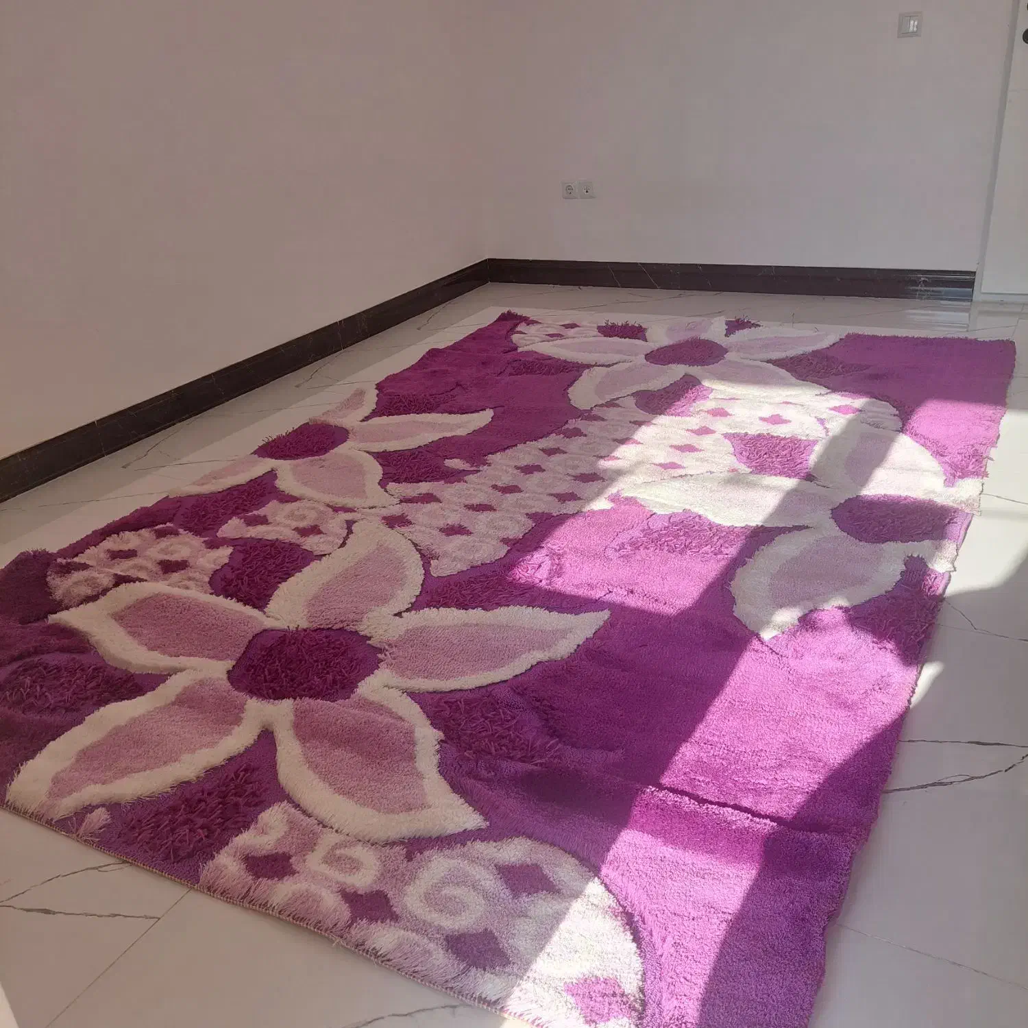 فرش شگی یاسی|فرش|سقز, |دیوار