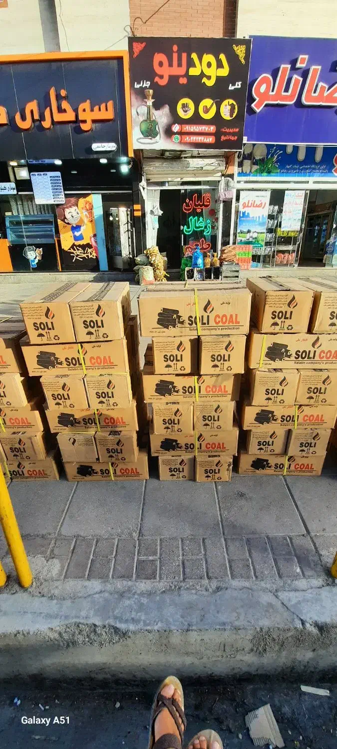 زغال بامبو|عمدهفروشی|گلبهار, شهر جدید گلبهار|دیوار