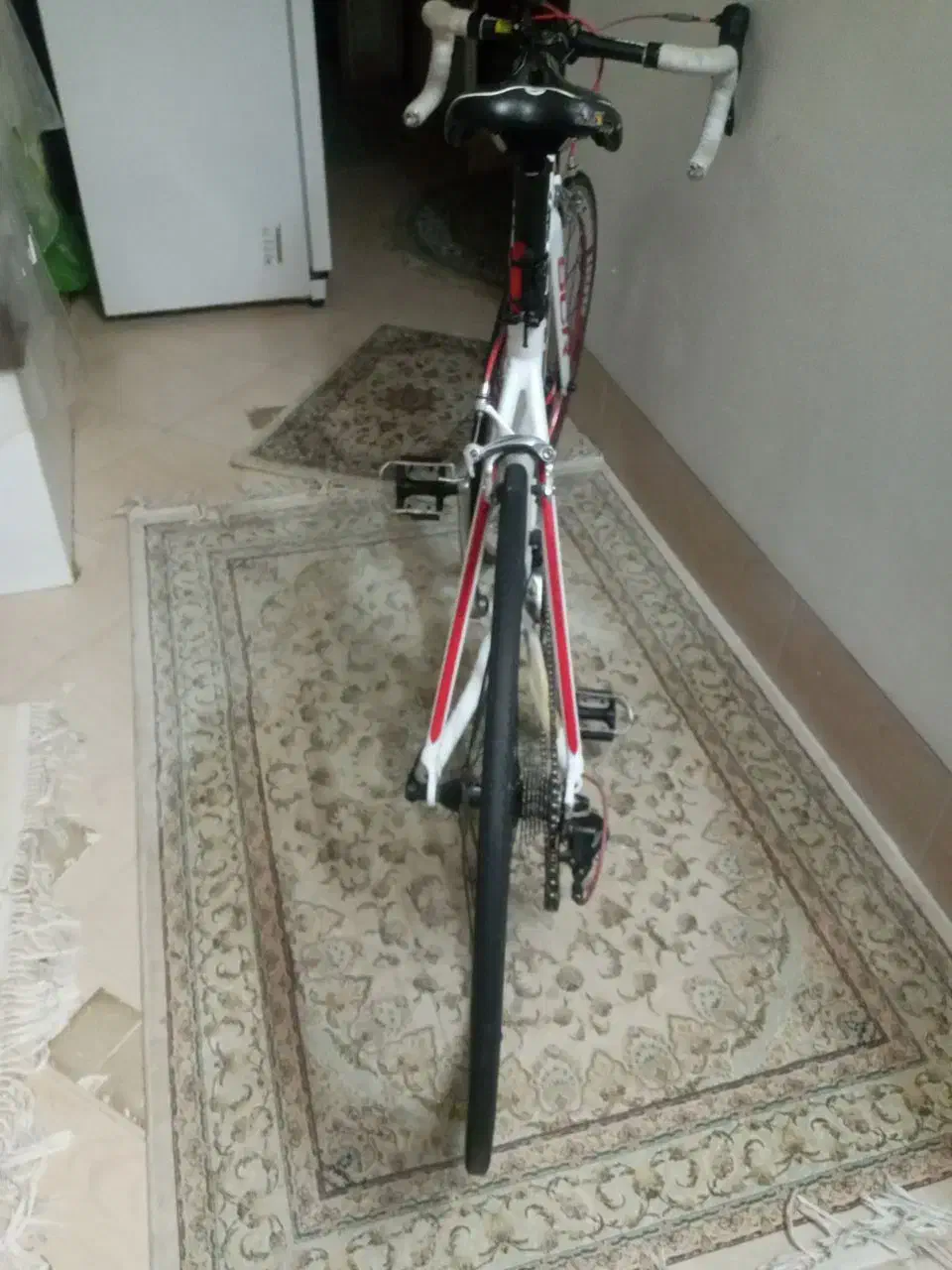 فروش یکدستگاه دوچرخه کورسی حرفه ای جاینت scr|دوچرخه، اسکیت، اسکوتر|شیراز, سینما سعدی|دیوار