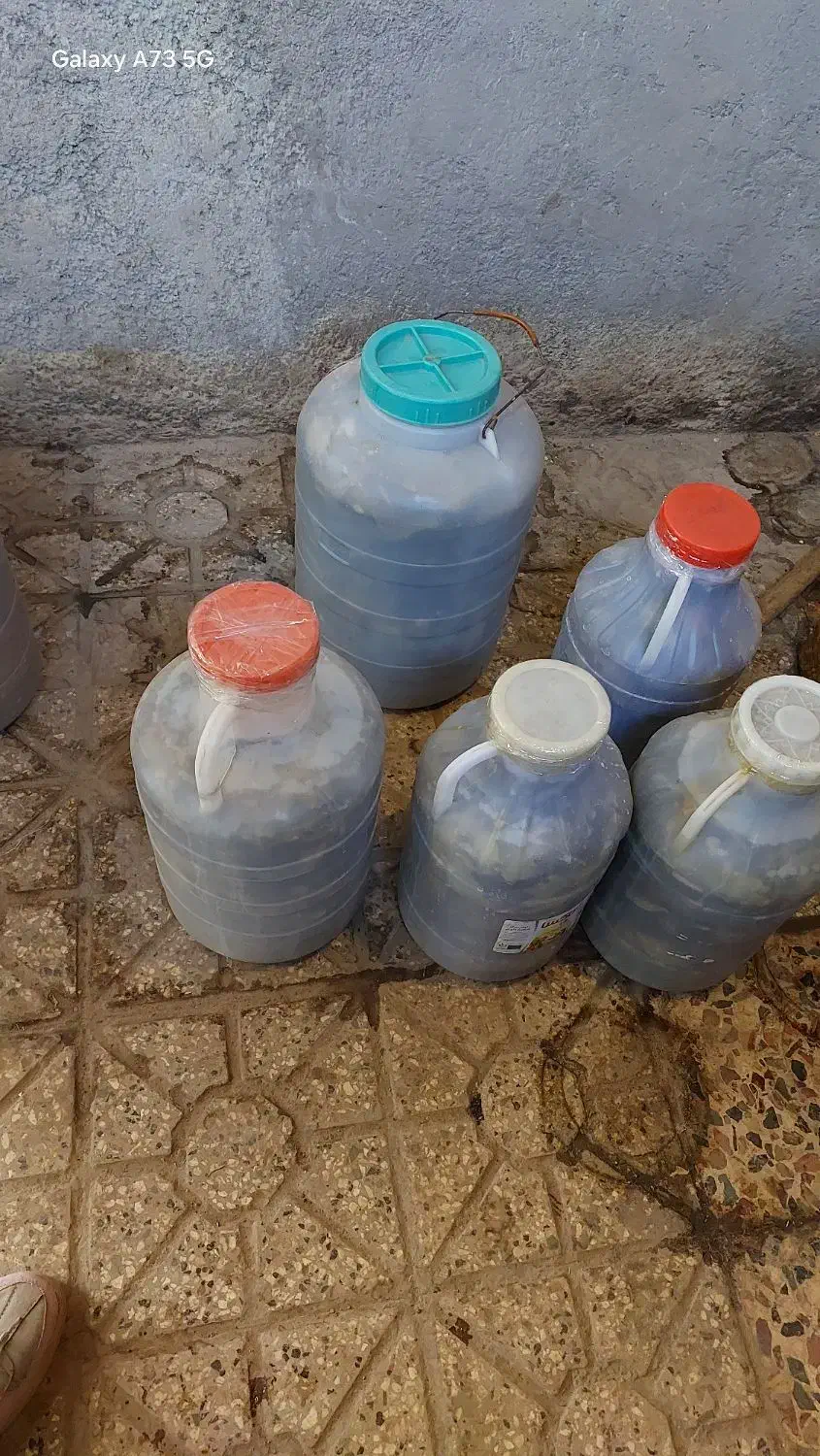 خیار شور تازه و ترد دبه های ۱۲ کیلویی|خوردنی و آشامیدنی|نیشابور, مازول|دیوار