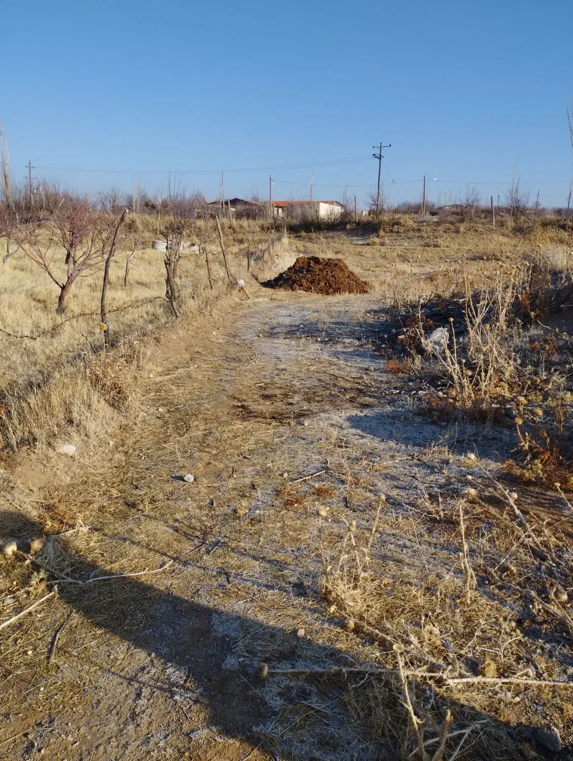 زمین ویلایی بندیزه تک درخت|فروش خانه و ویلا|اشترینان, |دیوار