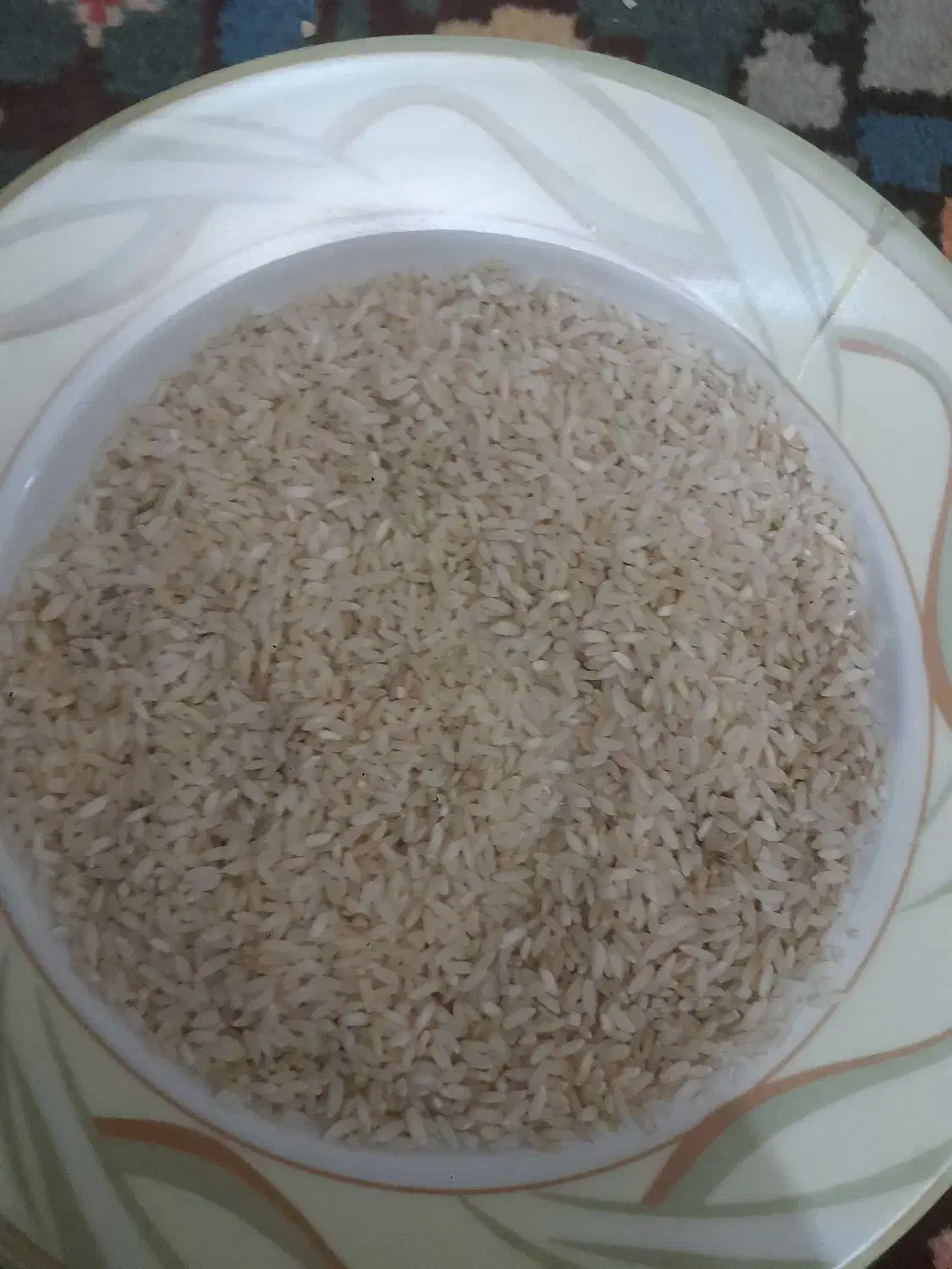 برنج چمپه میلاس|خوردنی و آشامیدنی|لردگان, |دیوار