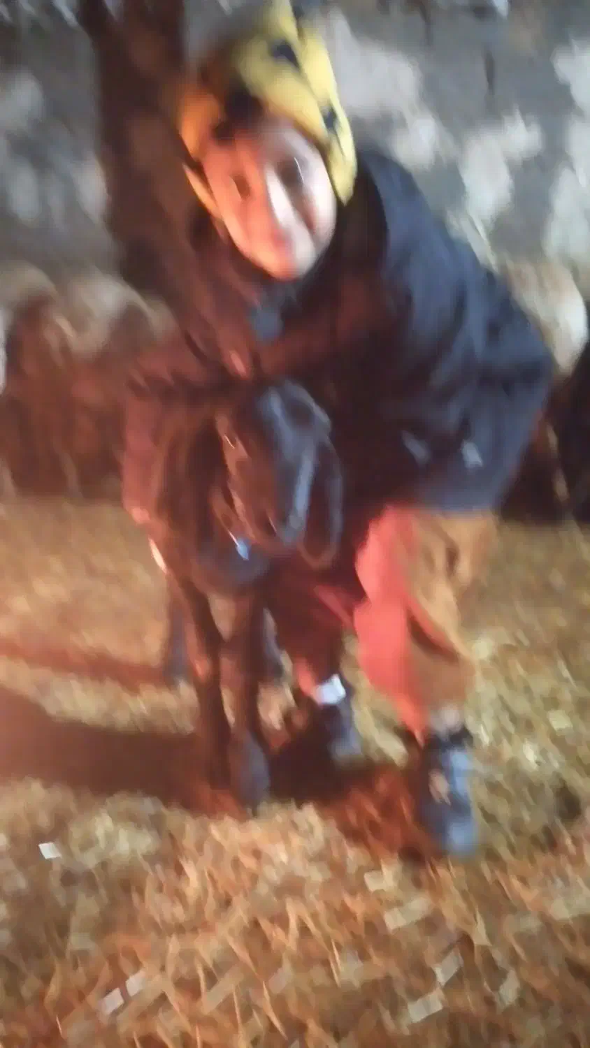 نان خشک|لوازم جانبی حیوانات|مشهد, باغون آباد|دیوار