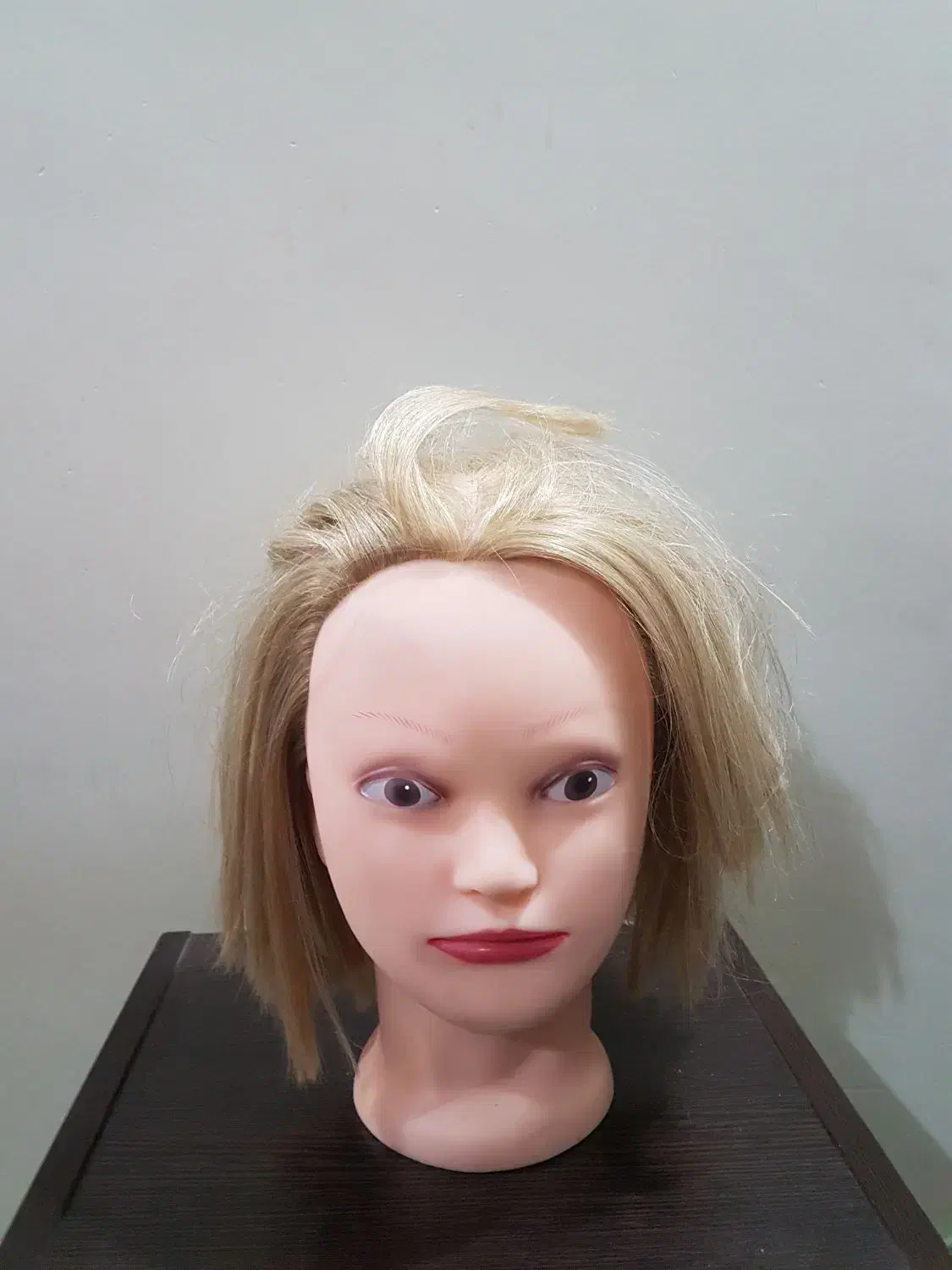 کله مانکن دکوری و آرایشی برای تمرین|آرایشی، بهداشتی، درمانی|تهران, مینای جنوبی|دیوار