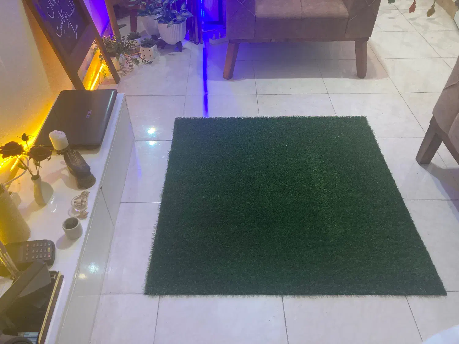 چمن مصنوعی|گل مصنوعی|رشت, منظریه|دیوار