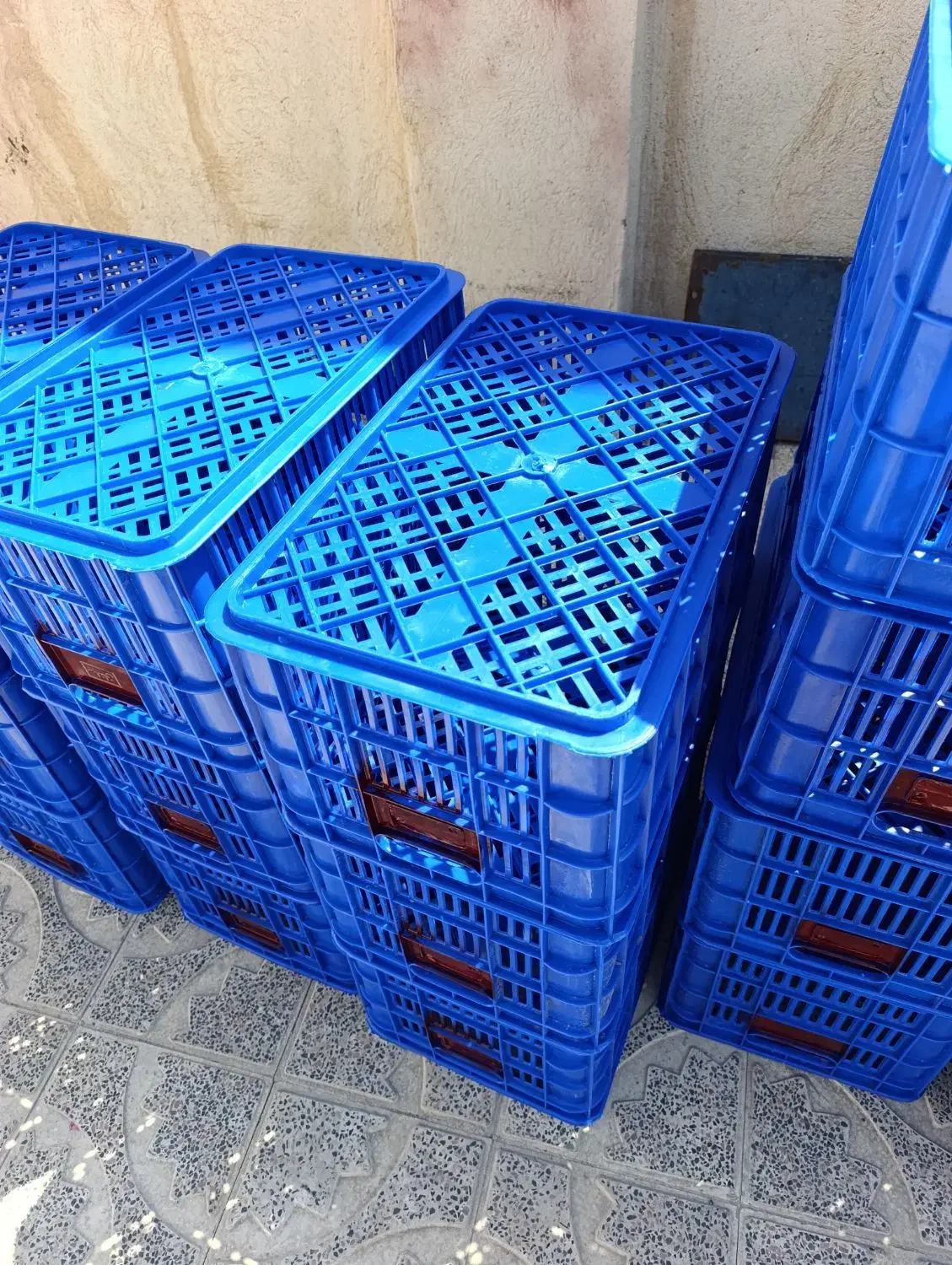 سبد.مرغ.ماهی.گوجه|عمدهفروشی|مرودشت, رامجرد یک|دیوار