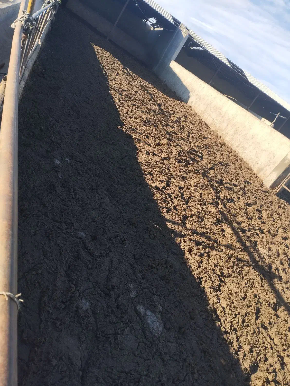 کود حیوانی|لوازم جانبی حیوانات|چناران, |دیوار