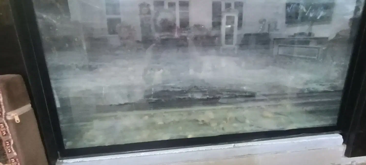 آکواریوم|ماهی|بوشهر, |دیوار