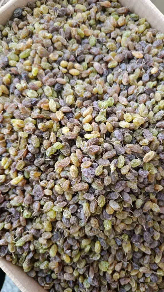 کشمش سایه خشک|خوردنی و آشامیدنی|اهواز, ۲۴ متری|دیوار