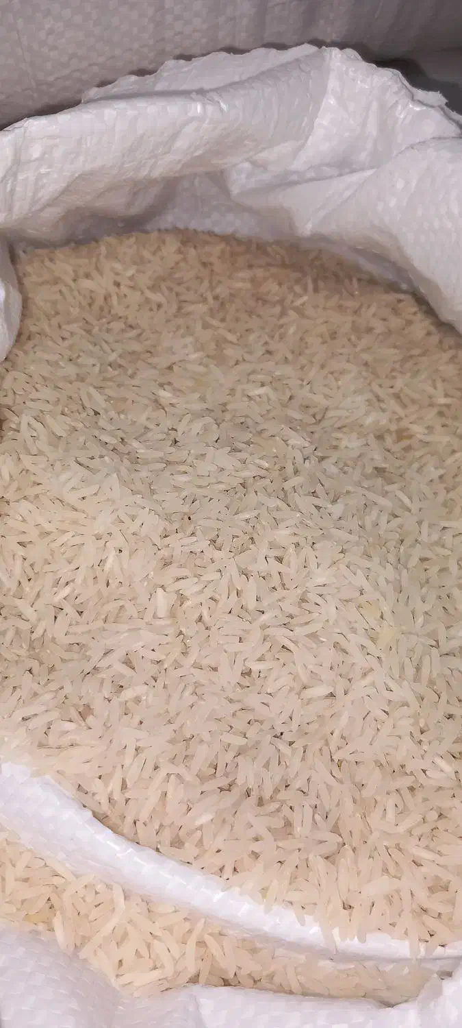 برنج فجرگرگان کیلویی ۱۷۰تومن|عمدهفروشی|چمستان, |دیوار