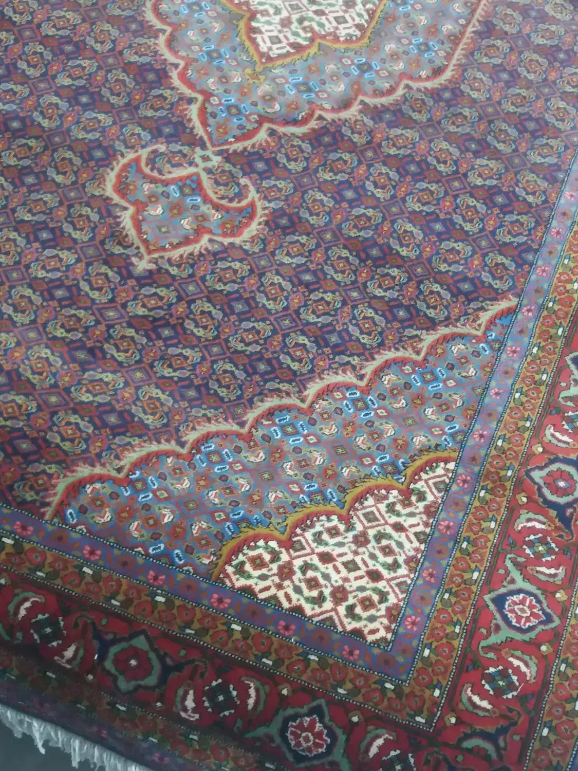 فرش جفت ۶ متری|فرش|اردبیل, |دیوار