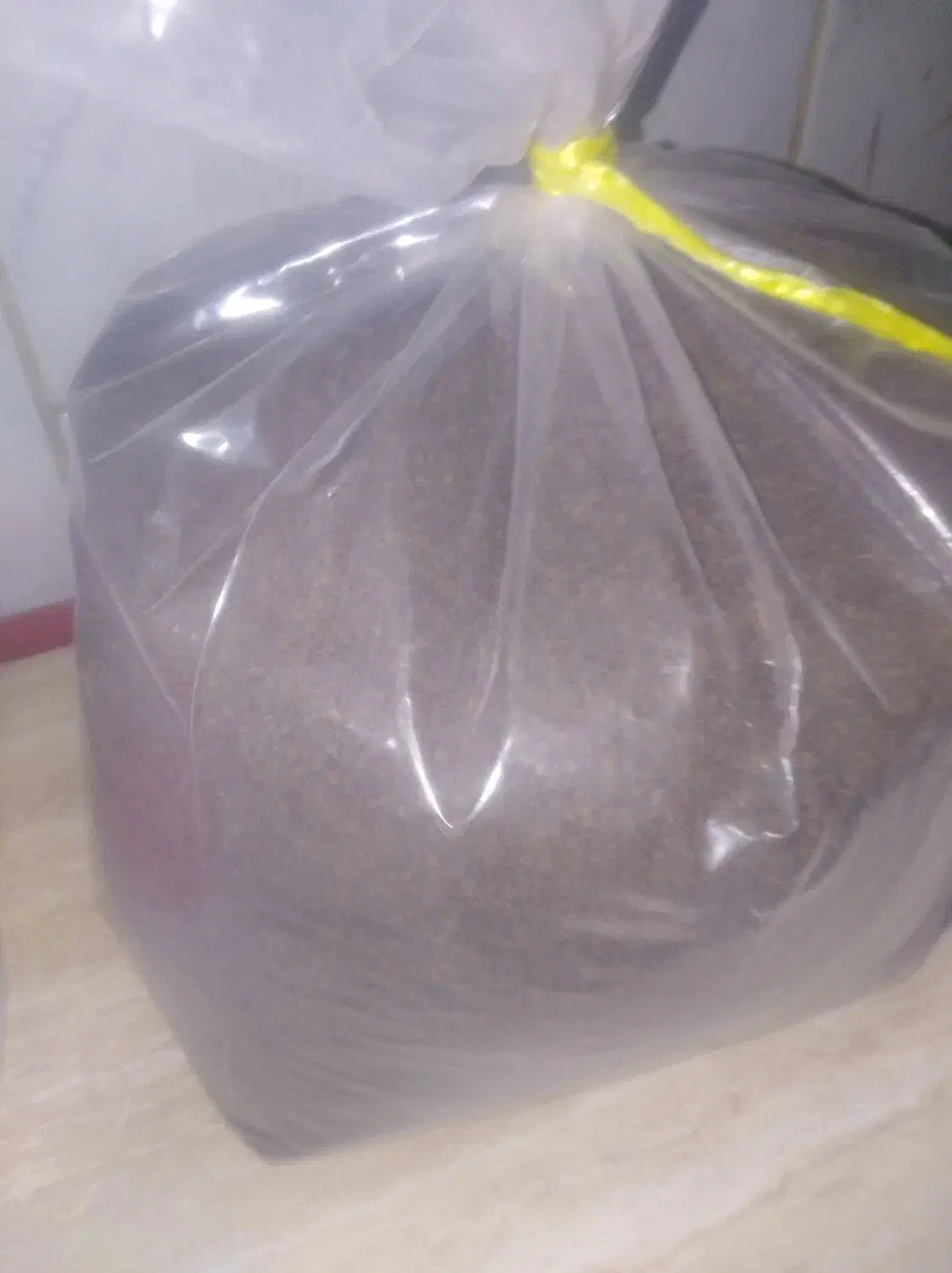 چای کله مورچه|خوردنی و آشامیدنی|اصفهان, جاوان|دیوار