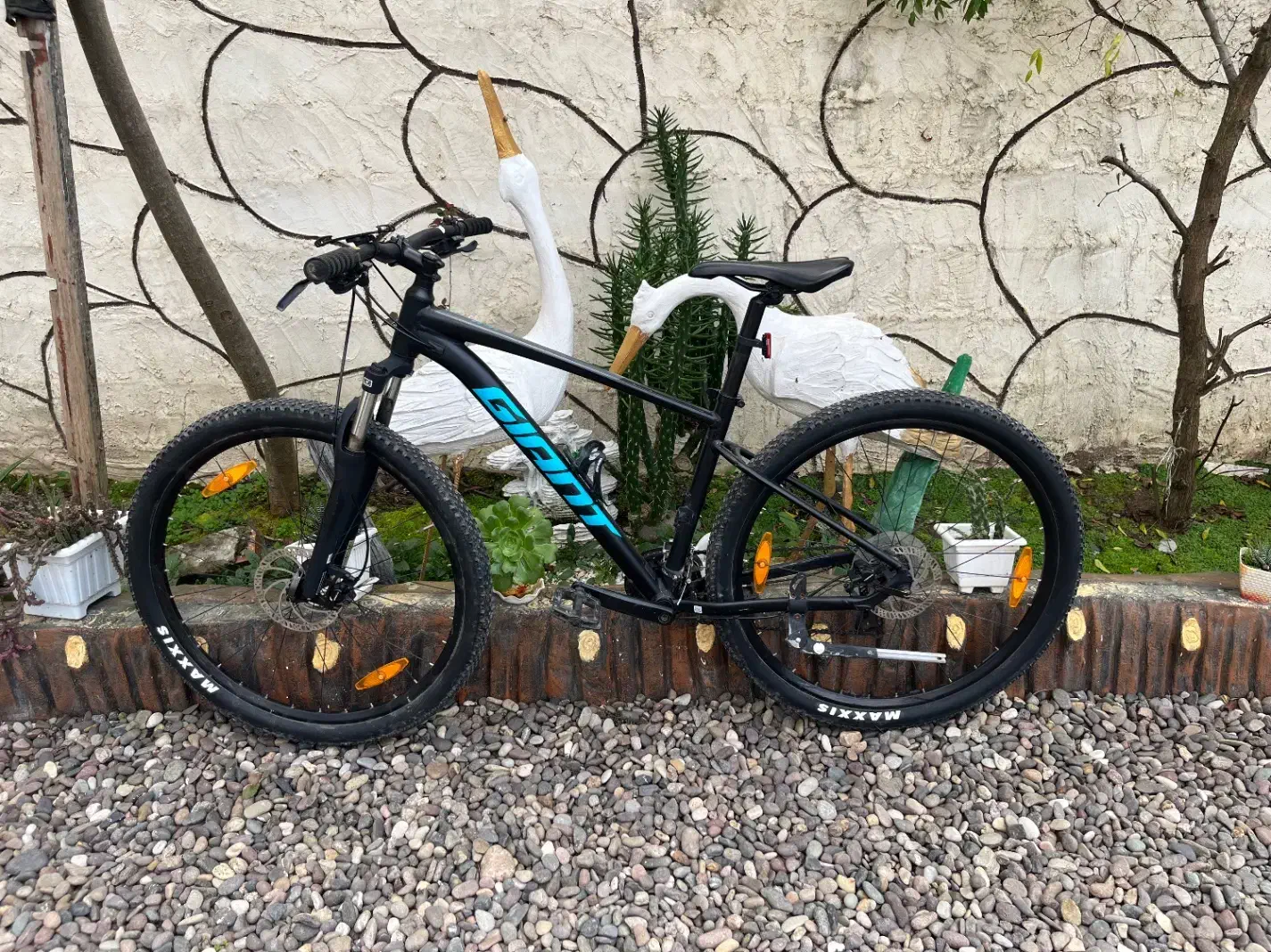 دوچرخه حرفه ای جاینت 2021|دوچرخه، اسکیت، اسکوتر|رشت, پارک شهر|دیوار