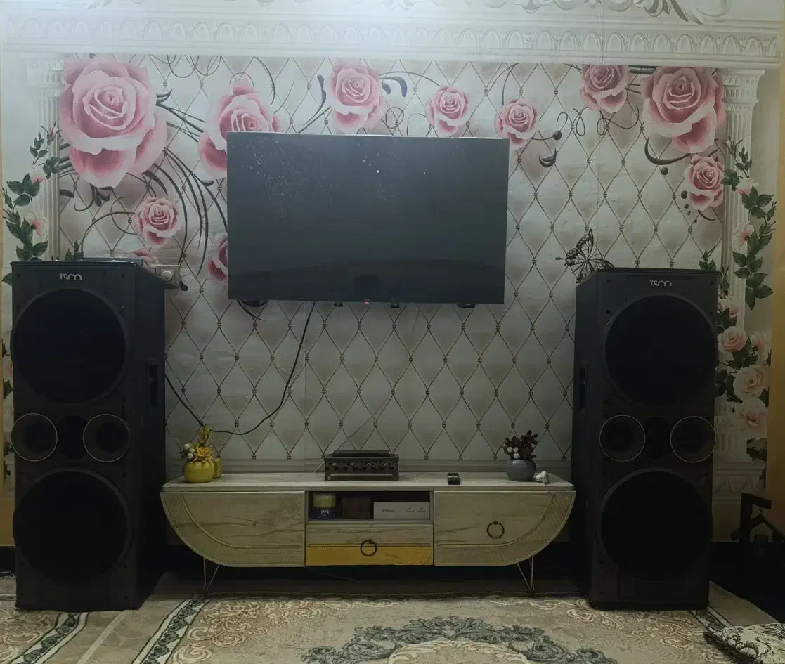 اسپیکرغول تسکو|سیستم صوتی خانگی|کنارک, |دیوار